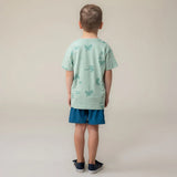 Teal Bermuda Shorts > Nano