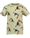 Sage Green Toucan T-Shirt - Kitzberg in 6 and 7