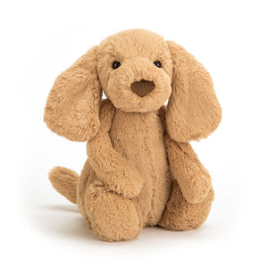 Jellycat® > Bashful Toffee Puppy Small 7"