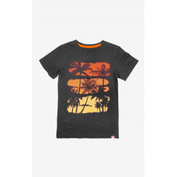 Sunset Palms Tee > Appaman in Charcoal