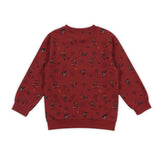 Flip Tricks Rusty Red Sweatshirt > Nano