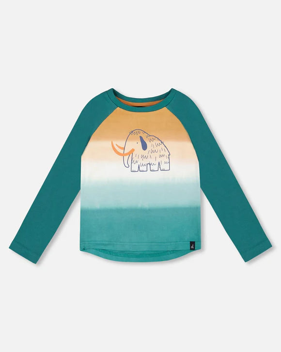 Woolly Mammoth Gradient Raglan Tee > Deux Par Deux - Organic Cotton in 12m only