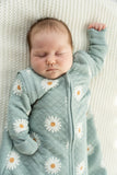 Daisy Sleep Sack 1.0 TOG > Silkberry Baby (Removable Arms)