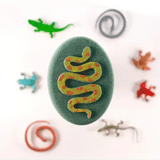 Rainforest Adventure (Snake) Bath Bomb with Toy > Happy Hippo Bath Co.