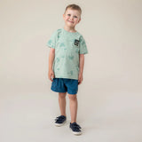 Teal Bermuda Shorts > Nano