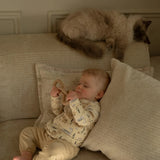 Harbour Mist Dino Tee and Joggers Set > Dirkje